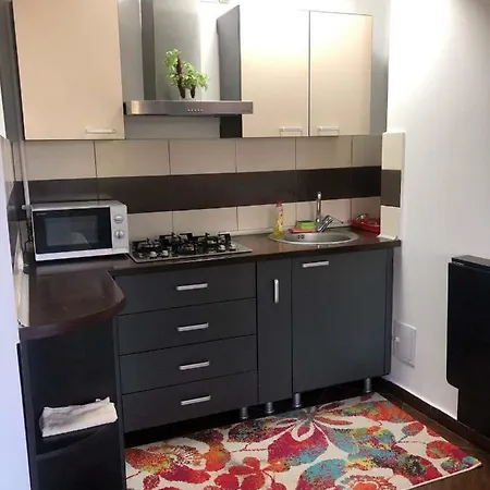 公寓 Bulevardul Mamaia Apartament D 康斯坦察